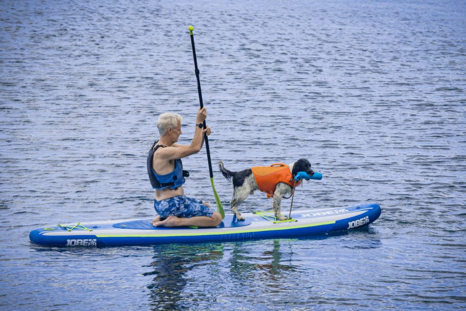 A man kneels on a paddleboard while a springer spaniel in an orange life jacket stands at the front with a toy in its mouth.