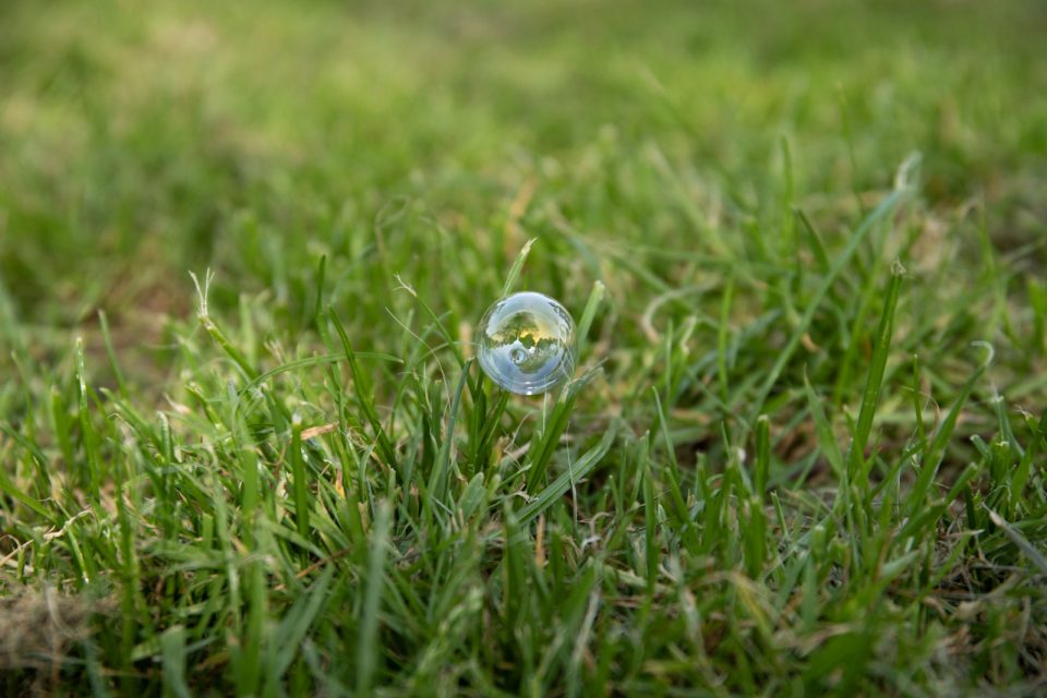 A single soap bubble resting on blades of grass, reflecting the sky.